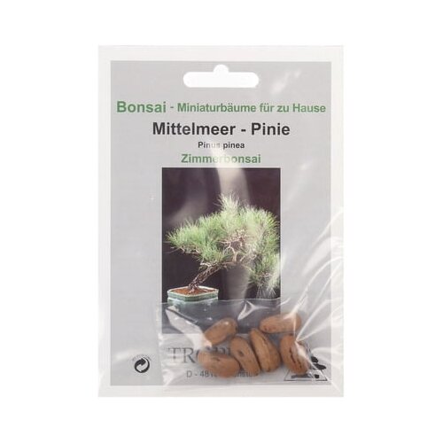 TROPICA Sredozemski bor Cene