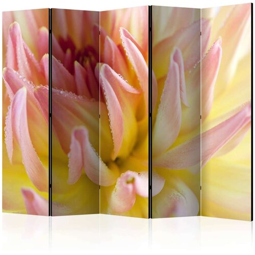  Paravan u 5 dijelova - Pastel colored dahlia flower with dew drops II [Room Dividers] 225x172 Cijene
