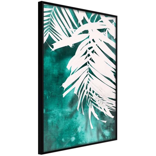  Poster - White Palm on Teal Background 30x45 Cene