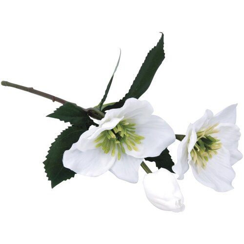 RAYHER Teloh 35 cm bel, (20634011) Cene