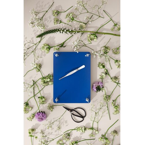 Printworks Interaktivna igrača Flower Press Kit &amp;ndash; Slike