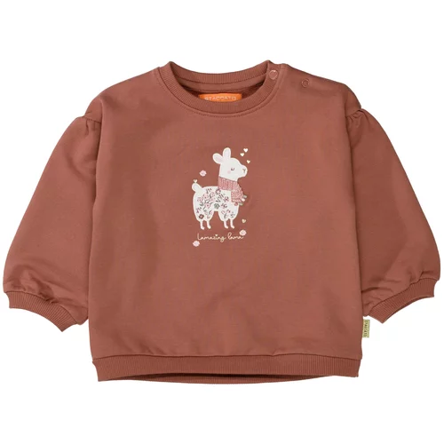 STACCATO Sweater majica menta / roza / hrđavo crvena / bijela