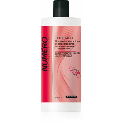 Brelil Numéro Colour Protection Shampoo šampon za obojenu kosu 1000 ml