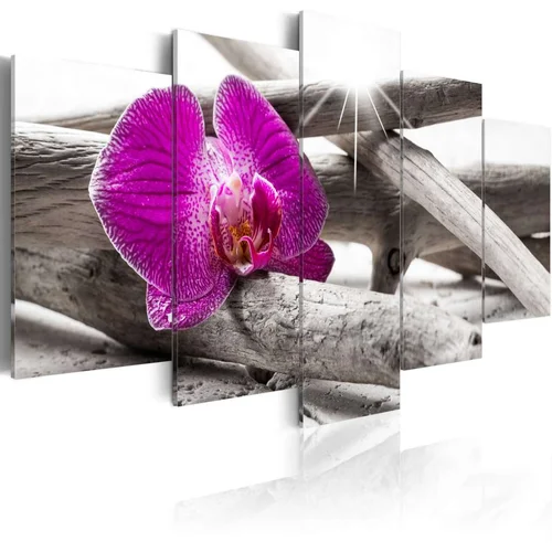  Slika - Orchid on beach 100x50