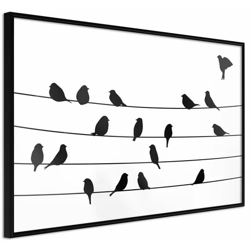  Poster - Birds Council Meeting 90x60