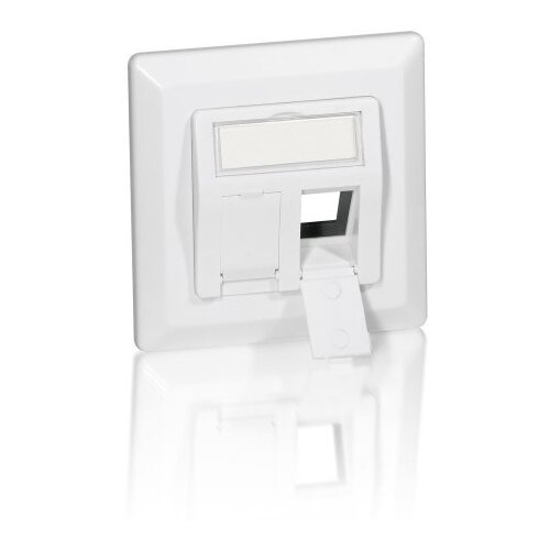 Equip Stenski modul Rj45 50X50 za 2X Rj45 Keystone, kovinsko podnožje, bel okvir, (21405736) Cene
