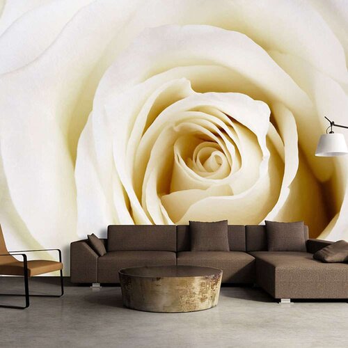  Tapeta - Pearl maze 150x105 Slike