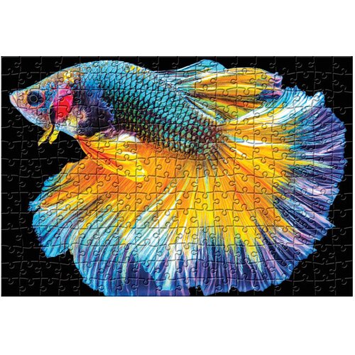  250 KOM COLORFUL NATURE 6 FISH INTERDRUK Slike