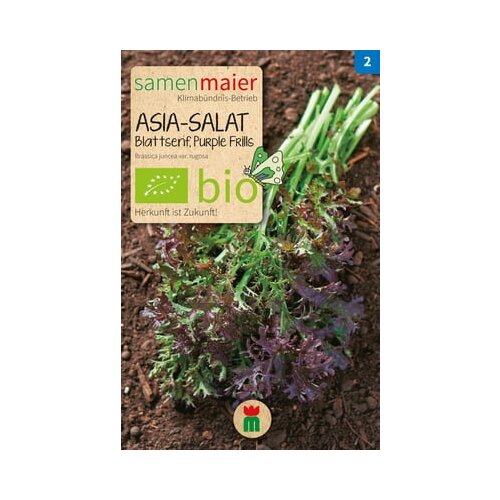 Samen Maier BIO azijska solata - Blattsenf, Purple Frills Cene