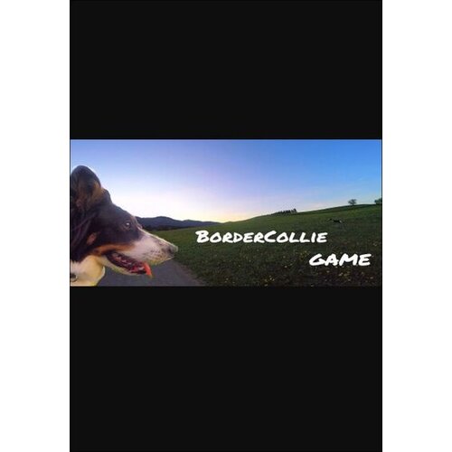 Steam BorderCollie Game (PC) Key GLOBAL Cene
