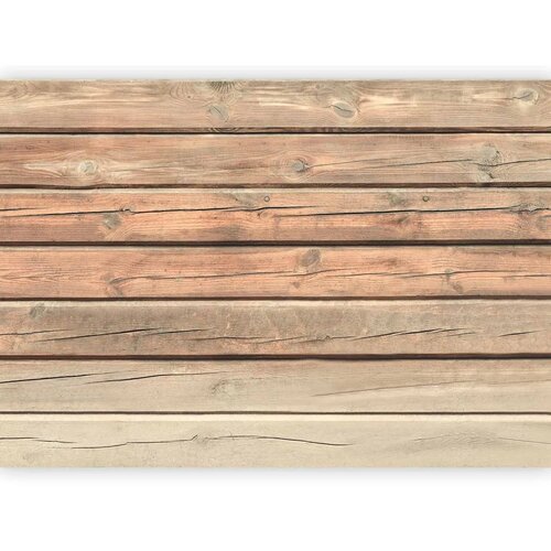  Foto tapeta - Old Pine 400x280 Vodootporna Slike