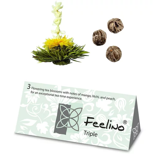 Feelino Čajni cvetovi, 6 različnih sort, posamično zaviti, zelo produktivni