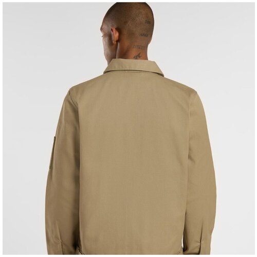 Dickies EISENHOWER Smeđa Slike