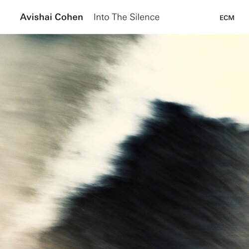 Avishai Cohen Into The Silence Cene