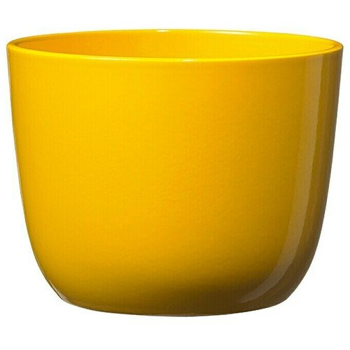 SK Cvetlični lonec Sevilla (12 cm, rumena) Slike