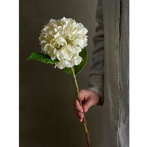 Bloomingville Umetna rastlina (vi&amp;scaron;ina 56 cm) Hydrangea &amp;ndash; Slike