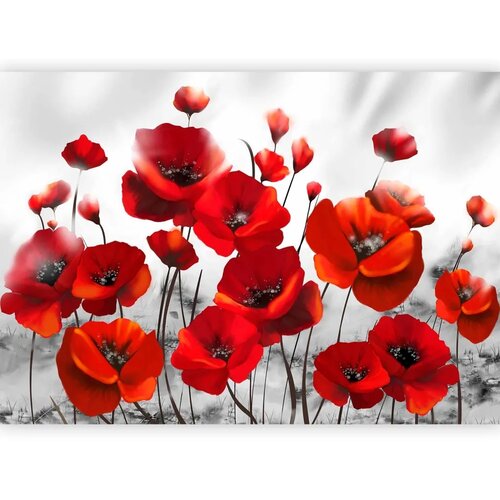  Foto tapeta - Poppies in the Moonlight 147x105 Cijene