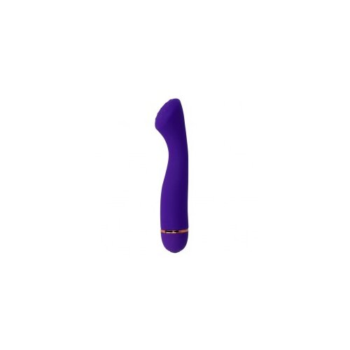 Intense vibrator Lilo vijoličen Cene