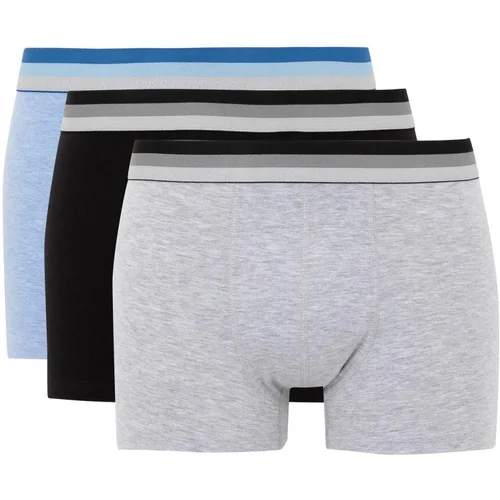 Defacto Regular Fit 3-Piece Boxer