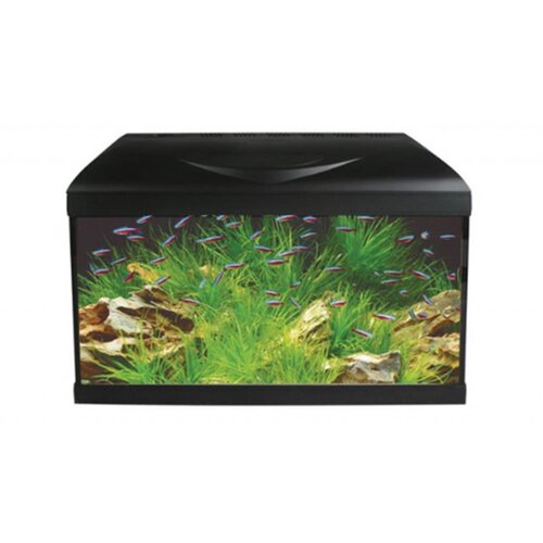  Akvarijum Basic 60 LED Cene