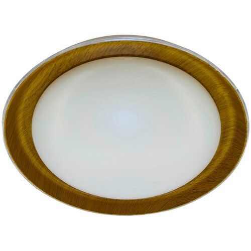 Lesnina-XXXL stropna led-svetilka kora 43/8,5 cm Cene