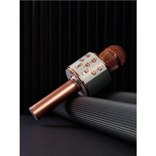 Sinsay Karaoke mikrofon Cijene