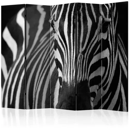  Paravan u 5 dijelova - White with black stripes II [Room Dividers] 225x172