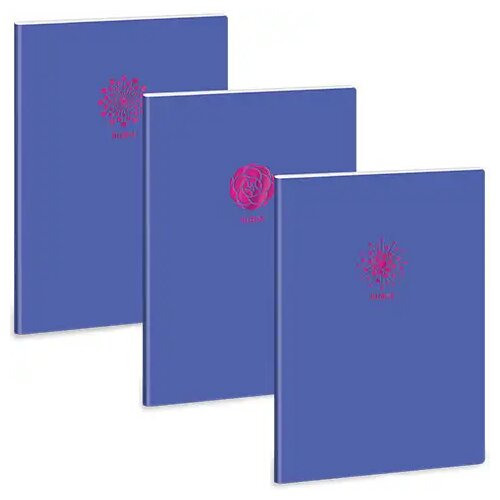 Ars Una Zvezek s točkovno mrežo A4 z dodatnimi sponkami : Soft Touch Violet Spring Cene