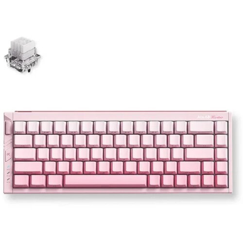 Oblivion gaming oprema Gaming tastatura MCHOSE Ace 68 Turbo Peachy Pink/Mount Tai Magnetic switch Cene