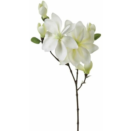 Atmosphera dekorativni cvet magnolia 25X13X79CM pes/plastika/metal bela 116021 Slike