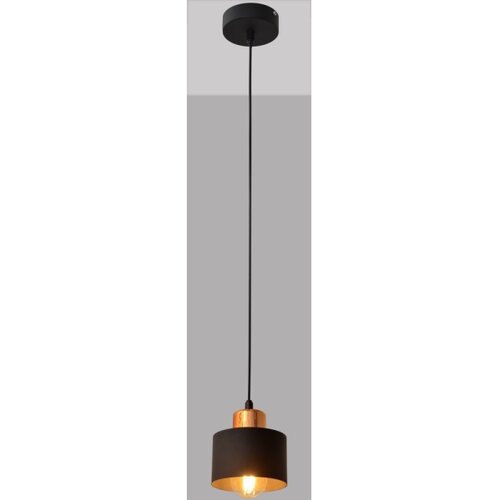  Luster na sajli EDISON 1xE27/15W/230V Slike