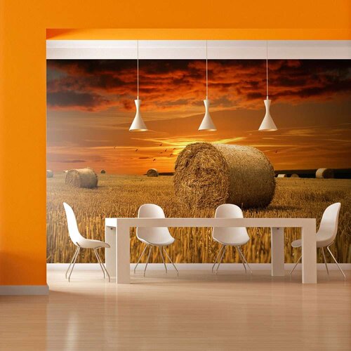  Tapeta - Fields of gold 250x193 Slike