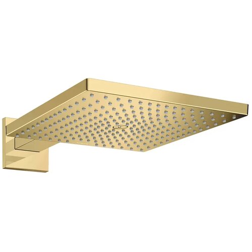 Hansgrohe raindance e 300 tuš ruža 1 jet sa zidnim priključkom 26238990 Cene