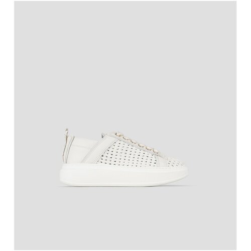 Alexander Smith Nizke superge ASBDWYW0075TWT Bela Cene