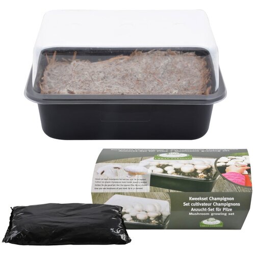 Esschert Design Sistem za gojenje Field Mushroom – Cene