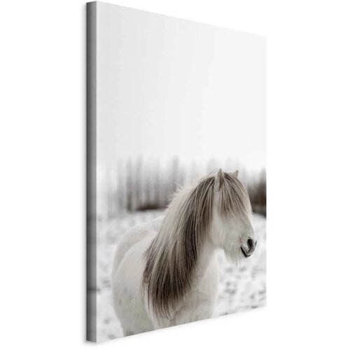 Slika - Horse Mane (1 Part) Vertical 60x90 Standard Cene