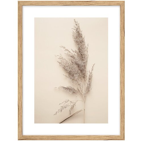 knor Plakat z okvirjem 30x40 cm Grass Cene