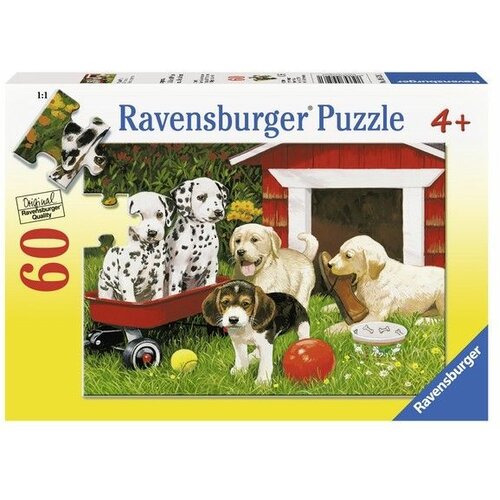 Ravensburger puzzle - Zabava za stence - 60 delova Slike