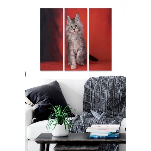 Wallity Set slika MDF183650808, 3 dijela Cijene