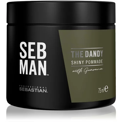 Sebastian Professional SEB MAN The Dandy pomada za kosu za prirodno učvršćivanje 75 ml