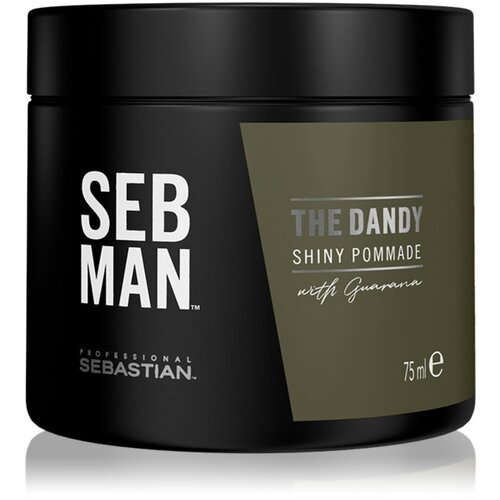 Sebastian Professional SEB MAN The Dandy pomada za lase za naravno fiksacijo 75 ml Cene