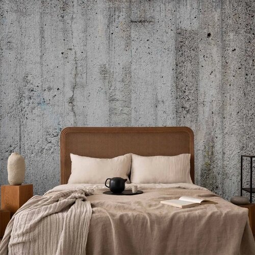  Foto tapeta - Grey Emperor 150x105 Standard Slike