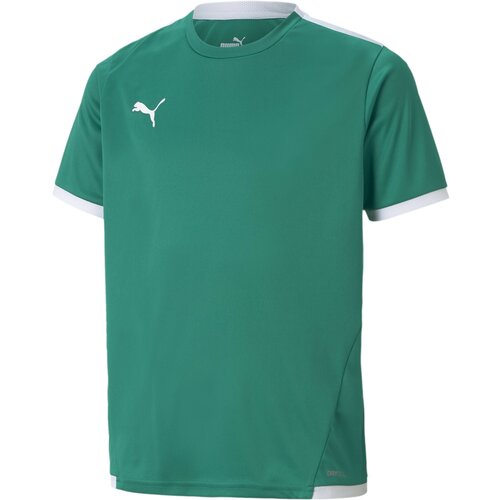 Puma Tehnička sportska majica 'TeamLIGA' smaragdno zelena / bijela Cijene