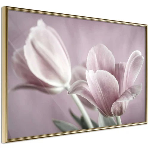  Poster - Pastel Tulips I 45x30