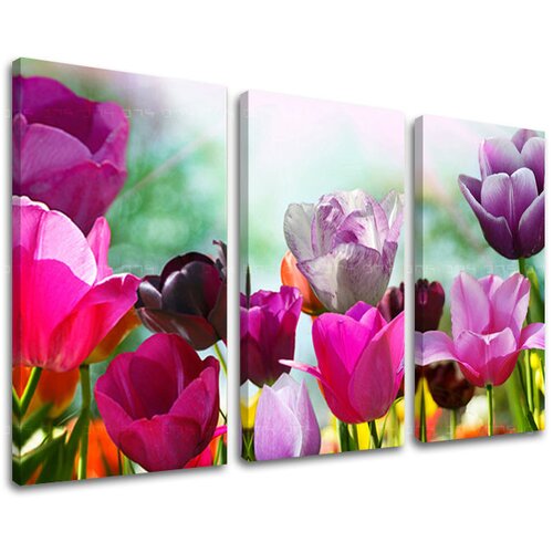  Slike  na platnu cveće  (moderne slike na platnu) Cene