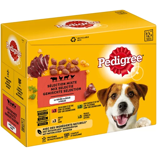 Pedigree Multi pakiranje Pouch mokra hrana za pse - 12 x 100 g u želeu
