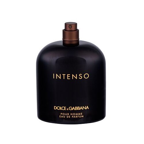 Dolce&gabbana Pour Homme Intenso parfumska voda 125 ml Tester za moške Cene