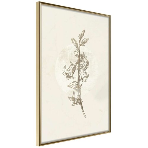  Poster - Beige Campanula 30x45 Slike