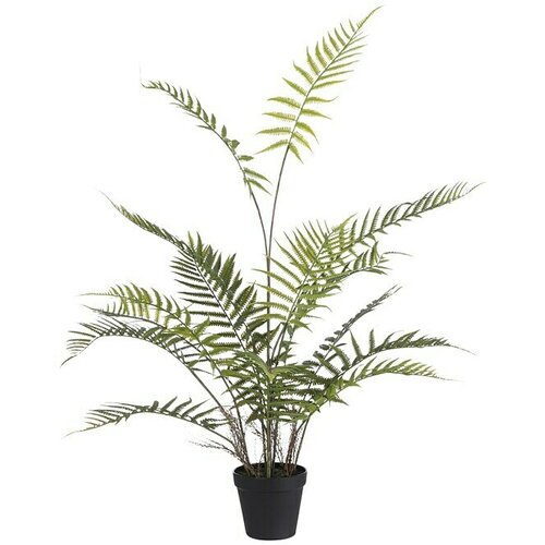  Umjetna biljka Adiantum (Visina: 91 cm, Plastika) Slike