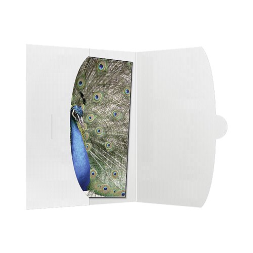 DAIBER 1x50 cover 15x20 white Cijene